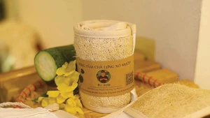 Do Dang Khoa, le magicien des fibres de loofah 