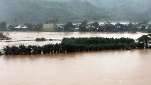 De nombreuses localités du Centre, dont la ville de Da Nang, sont gravement inondées. Photo : VNA