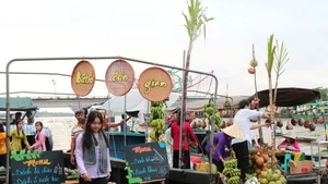 Le 6e Festival culturel et touristique du village ancien de Dong Hoa Hiep a lieu du 3 au 7 décembre dans la commune de Cai Be, province de Dong Thap (dans le delta du Mékong).