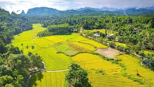 Maisons traditionnelles entre montagne et rizières à Lôc yên. Photo: VOV 