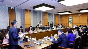 Lors d'un débat en groupe du 4 novembre. Photo : VNA.