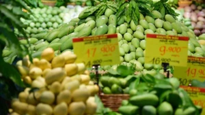 Les fruits vietnamiens sont de plus en plus appréciés sur le marché européen. Photo : vnexpress