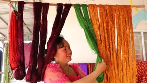 Chanh Da Ty, patronne d’un atelier de tissage dans la commune de Van Giao, vérifie la soie après sa teinture. 