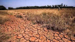 Le Japon propose une coopération avec l'ASEAN en matière de prévention des catastrophes naturelles