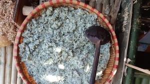Le Tẩu chúa est un ferment traditionnel des Mông à Dông Van. Photo: baocaobang.vn