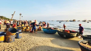 La beauté du marché de Tam Tien. Photo : NDEL