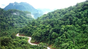 La partie centrale de la chaîne de montagnes de Truong Son (allant de la province de Ha Tinh jusqu’à celle de Da Nang) est une zone d’importance écologique.