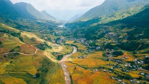 La beauté des rizières en terrasse au Nord-Ouest du Vietnam séduit de nombreux touristes vietnamiens et étrangers, notamment pendant la saison du riz mûr. Photo : Pham Trong Nghia/laodong.vn
