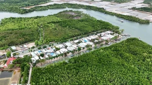 Zone résidentielle concentrée au milieu de l'écosystème de mangrove sur le hameau de l'île de Thieng Lieng. Photo : VNA. 