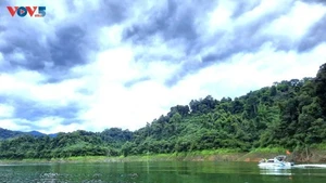 Parc national de Vu Quang, la "Perle verte" de Hà Tinh. Photo: VOV 