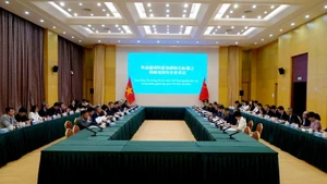 Vue générale de la séance de travail. Photo : baodautu.vn