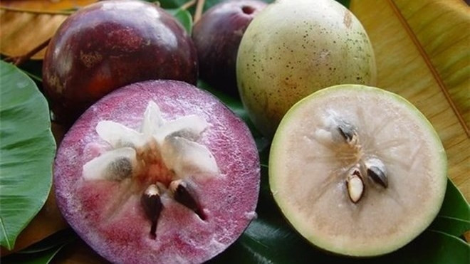 L​a pomme de lait vietnamienne est très appréciée aux États-Unis. Photo : Tienphong.
