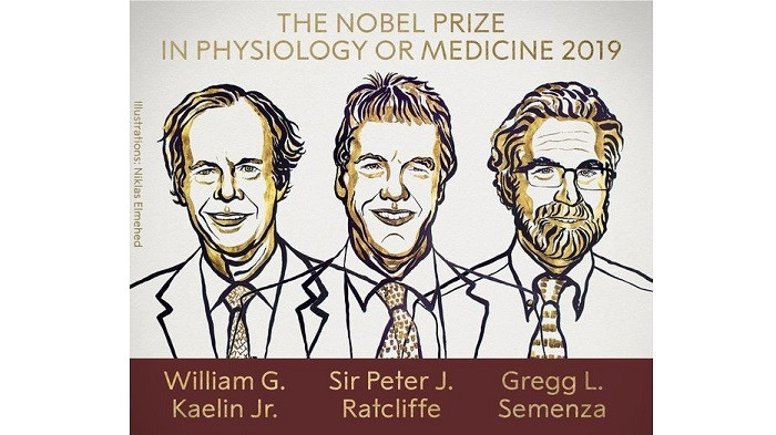 Photo : sciencesetavenir.fr.