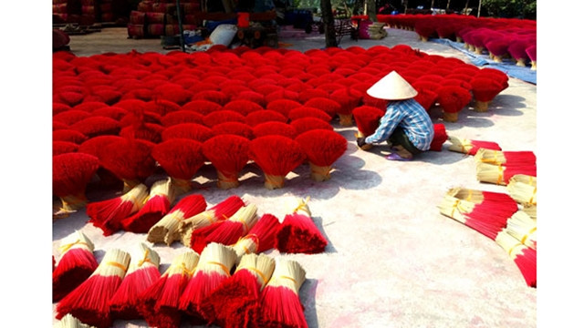 Une femme ramassant des bâtonnets d'encens séchés dans une cour du village de Quang Phu Câu. Photo : hanoimoi.com.vn.