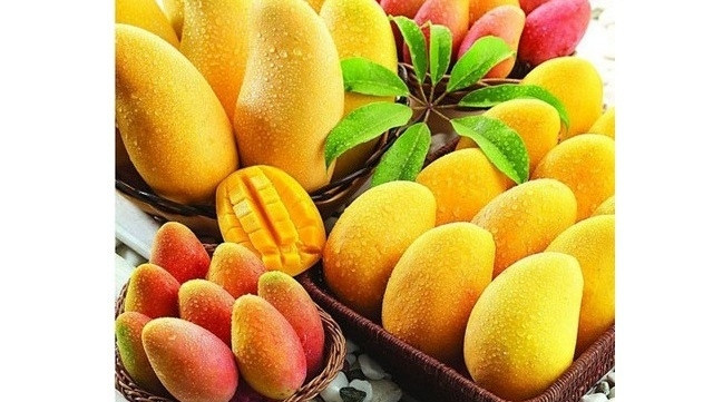 Photo d'illustration. laodong.com.vn.