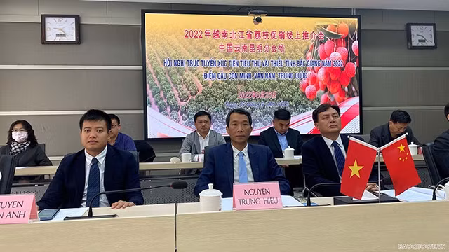 Le site à Kunming lors de la conférence en ligne sur la promotion du litchi la province de Bac Giang. Photo : baoquocte.vn.