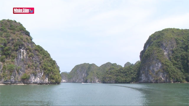 Voyage fascinant sur l’île aux singes de Cat Bà
