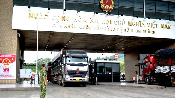 Plus de 500 tonnes de litchi de la province de Bac Giang ont été exportées quotidiennement via le poste-frontière de Kim Thanh dans la province de Lao Cai. Photo : NDEL.