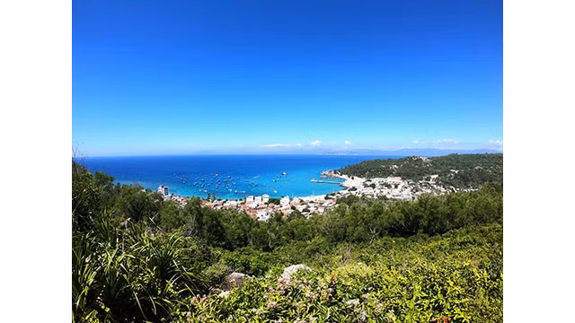 Une partie de l’île de Cu Lao Xanh vu du phare de l’île. Photo : vnexpress.net
