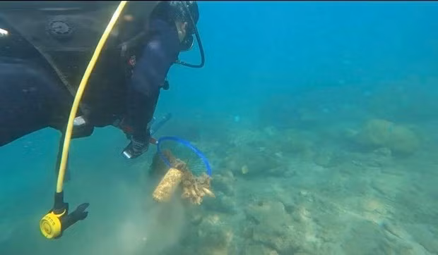 Photo : baotainguyenmoitruong,vn