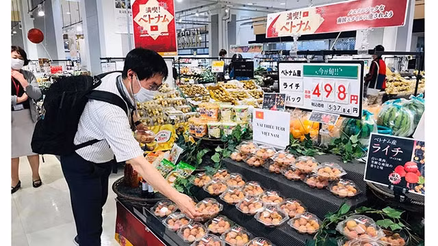 Le litchi du Vietnam vendu dans un supermarché au Japon. Photo : VGP.