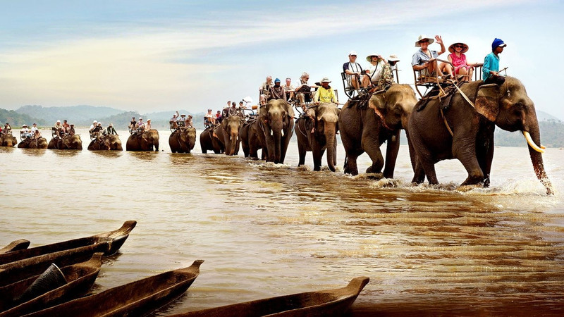 Photo: baolamdong.com.vn.