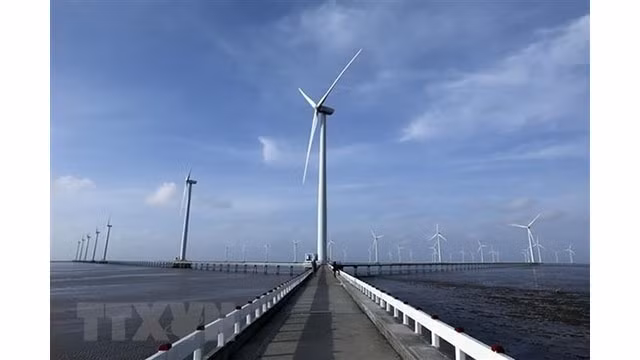 Parc éolien de Bac Liêu. Photo: VNA