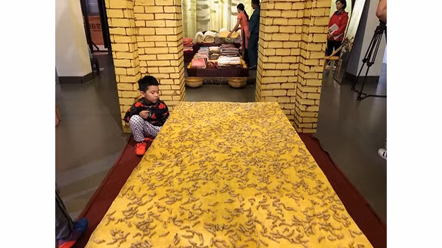 Une zone d'exposition « Histoire du son de soie ». Photo : http://kinhtedothi.vn/