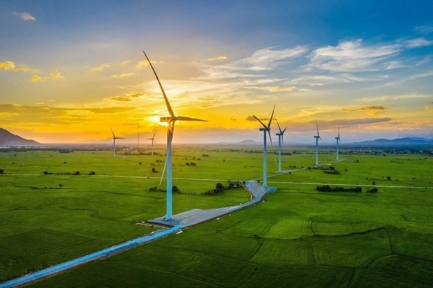 Les perspectives de croissance verte du Vietnam sont également évaluées positivement. Photo d'illustration : Vietnambiz.