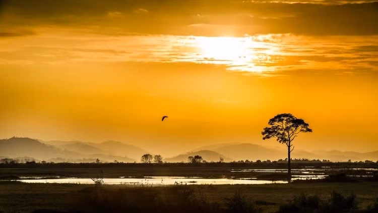 L'image d'un beau Vietnam paisible. Photo: Réhahn Croquevielle.