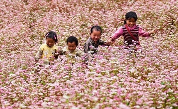 La légende veut que pour sauver les ethnies montagnardes de la famine, une fée ait versé depuis le ciel des glumes de paddy et de maïs sur la montagne, lesquels se seraient ensuite transformés en une nouvelle plante vivrière. Photo: cinet.vn..