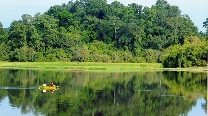 Forêt sur l'île de Phu Quôc. Photo : Vinpearl.