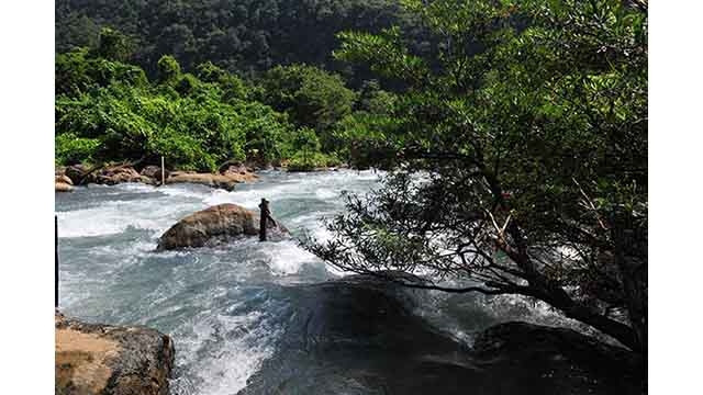 La beauté sauvage du ruisseau Nuoc Mooc. Photo : http://giadinh.net.vn