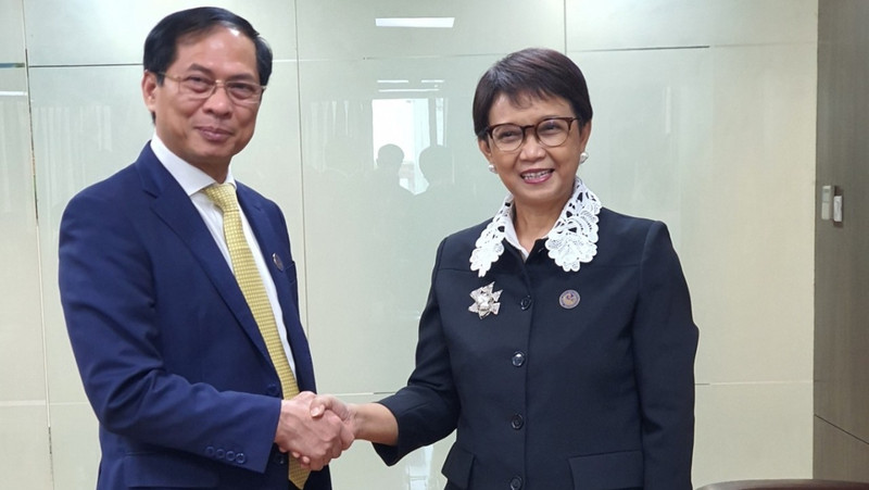 Le ministre vietnamien des AE, Bui Thanh Son (à gauche), et son homologue indonésienne, Retno Marsudi. Photo: thoidai.com.vn