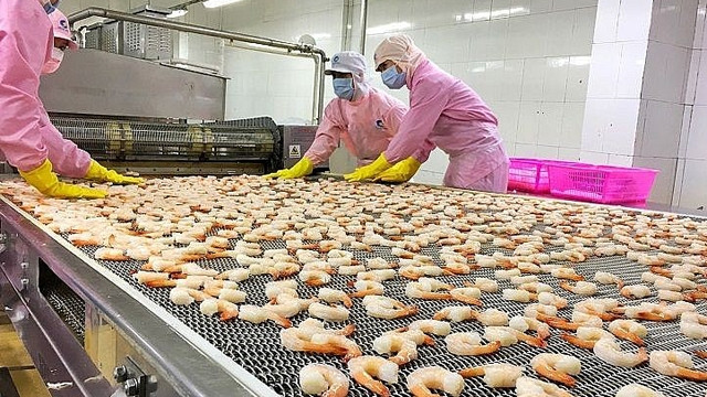 Les produits de la mer sont l’une des exportations vietnamiennes vers l’UE ayant le taux de croissance le plus élevé. Photo : thoidai.com.vn.