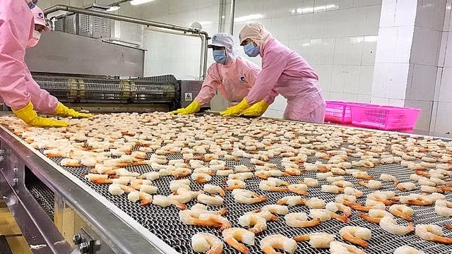 Les produits de la mer sont l’une des exportations vietnamiennes vers l’UE ayant le taux de croissance le plus élevé. Photo : thoidai.com.vn.