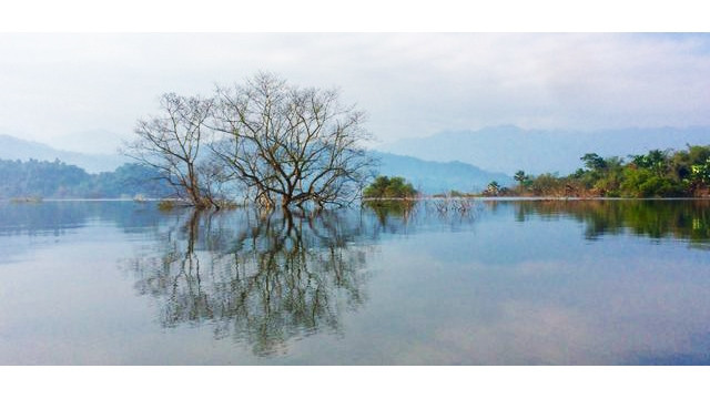 Le parc national de Vu Quang (dans la province de Hà Tinh). Photo : https://dantri.com.vn/
