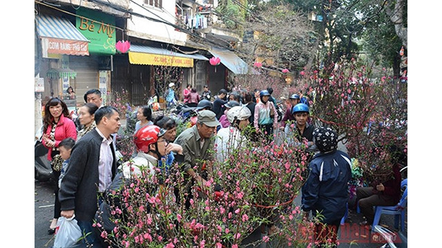 Le marché aux fleurs de la rue de Hàng Luoc. Photo : NDEL.