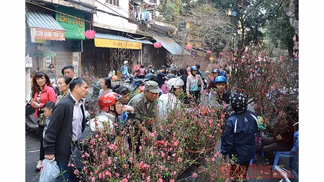 Le marché aux fleurs de la rue de Hàng Luoc. Photo : NDEL.