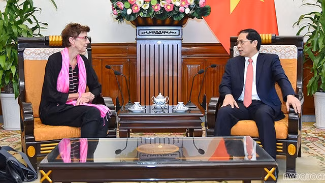 Lors de la rencontre entre le ministre vietnamien des Affaires étrangères, Bùi Thanh Son, et l’ambassadrice norvégienne au Vietnam, Grete Lochen. Photo : VNA.