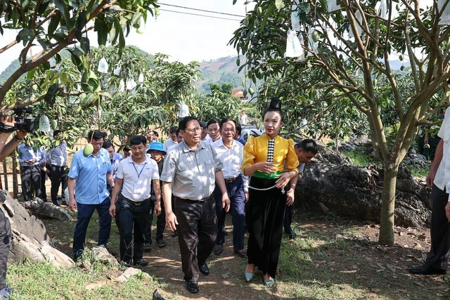 Le Premier ministre Pham Minh Chinh visite une zone de production agricole dans la commune de Hat Lot (du district de Mai Son, de la province de Son La). Photo : VNA.
