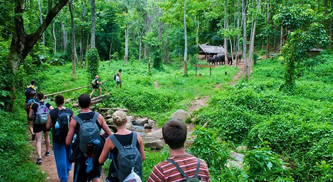 Nouveaux produits touristiques à Cuc Phuong. Photo : Journal Hanoimoi.