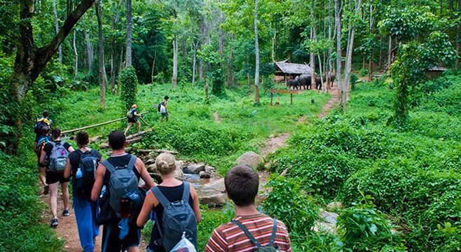 Nouveaux produits touristiques à Cuc Phuong. Photo : Journal Hanoimoi.