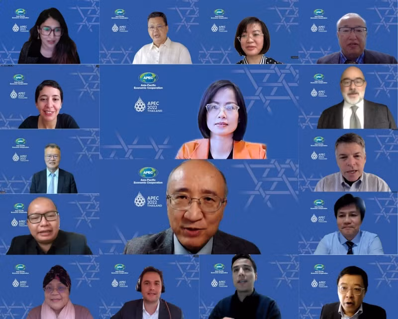 Les participants du séminaire en ligne sur le renforcement de la coopération dans le développement des ressources humaines et des nouvelles compétences en leadership pour s’adapter à l’ère numérique. Photo: baoquocte.vn