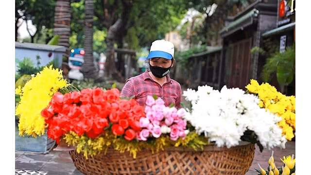 La beauté du paysage et la vie vietnamienne ont été évoquées par l'agence de presse AP. Photo : AP.