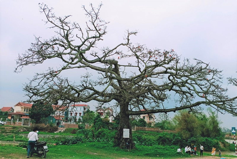 Photo : Minh Minh/NDEL.