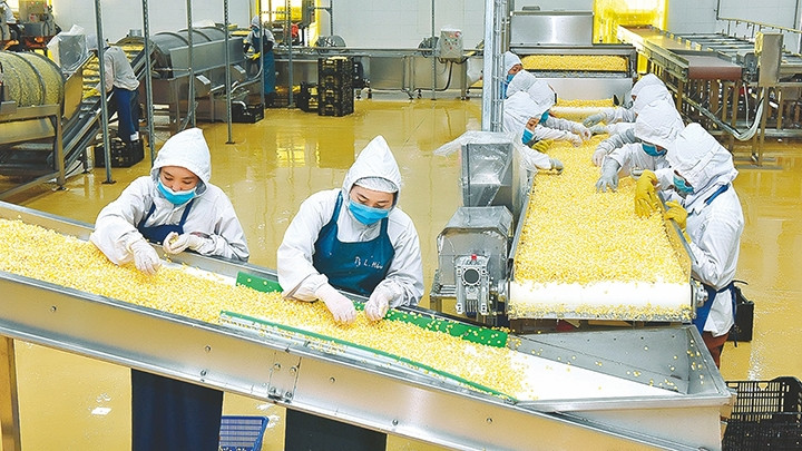 Les Vietnamiens d'outre-mer investissent principalement dans l'industrie manufacturière. Photo : thoibaonganhang/CPV.