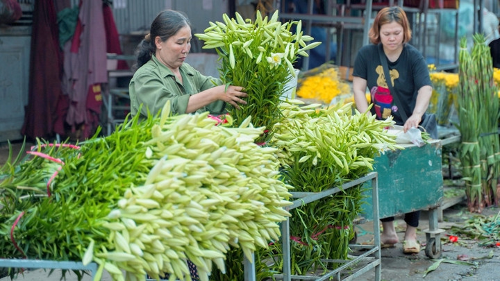 Les lis de Pâques sont vendus dans un marché. 