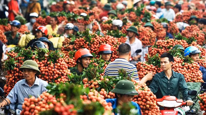 Photo d'illustration : https://vietnambiz.vn/