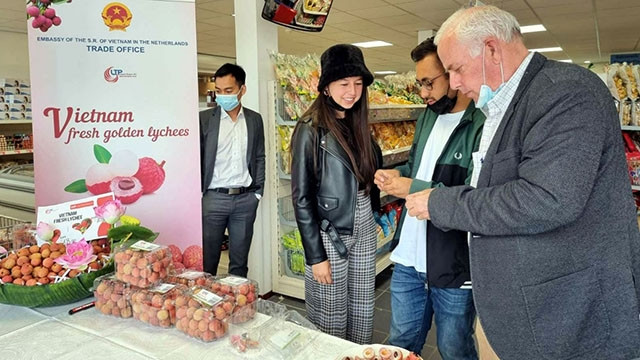 La promotion des litchits frais aux Pays-Bas. Photo : VOV.